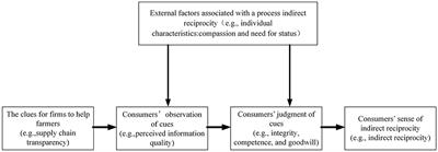 Do you reap what you sow? Driving mechanism of supply chain transparency on consumers' indirect reciprocity